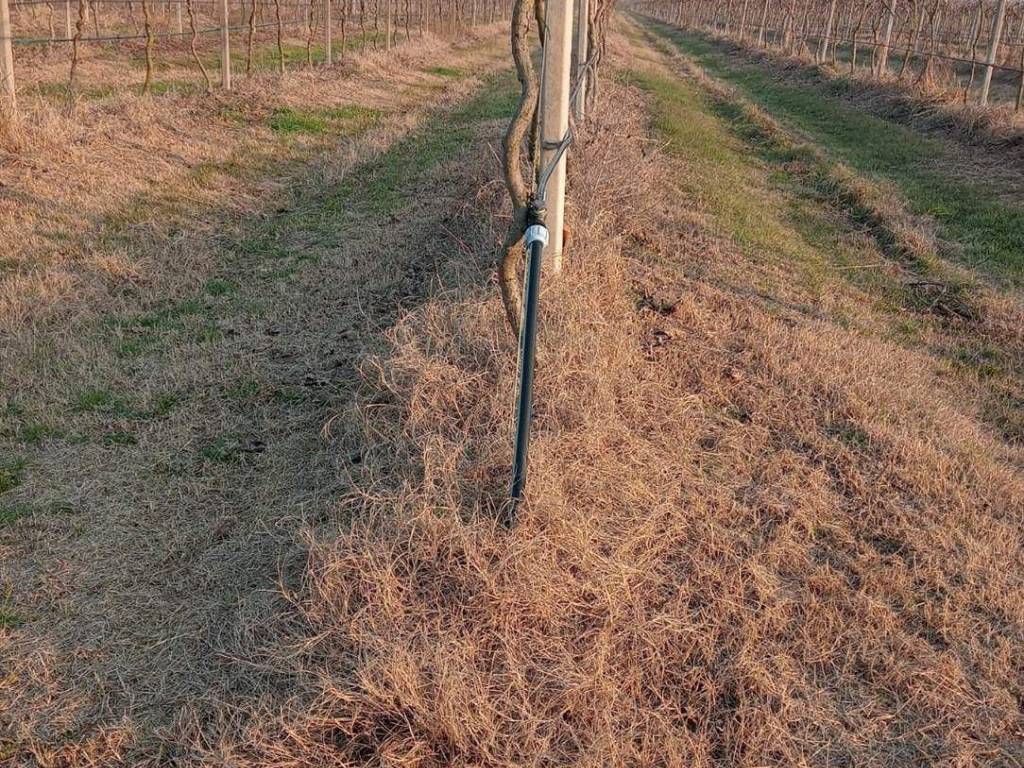 immagine annuncio 1 di 3