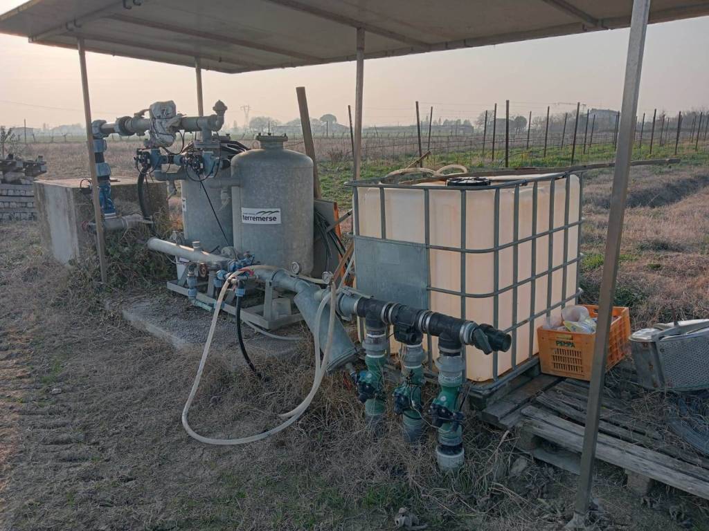 immagine annuncio 2 di 3