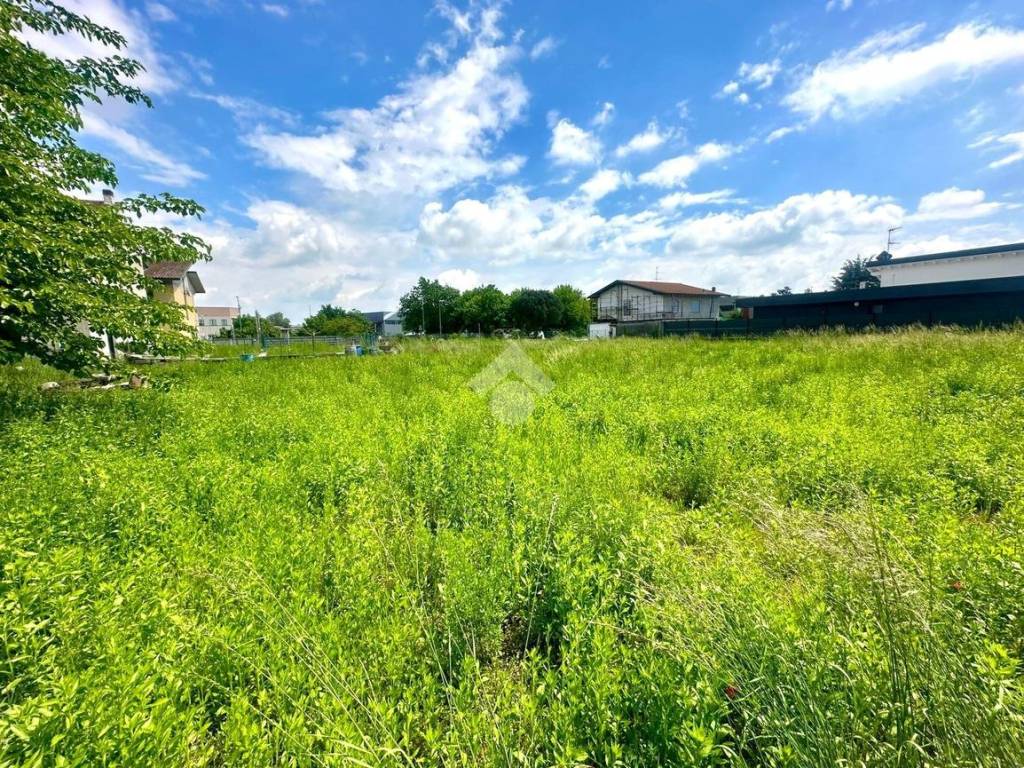 immagine annuncio 1 di 2