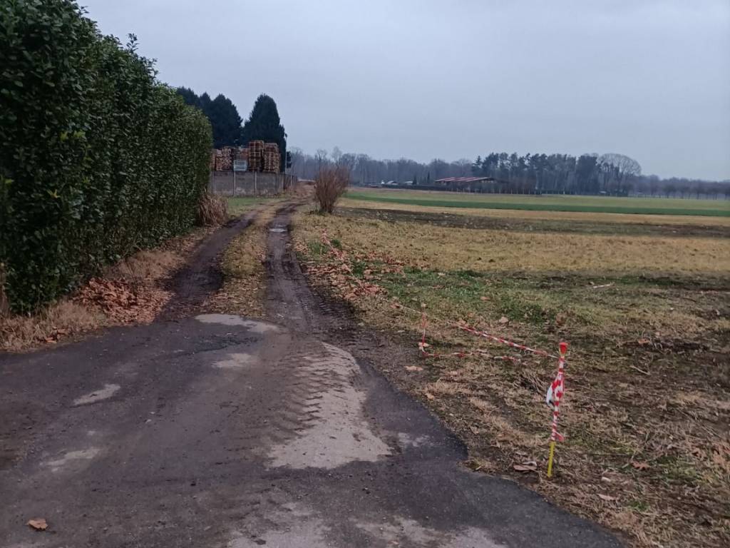 immagine annuncio 1 di 2