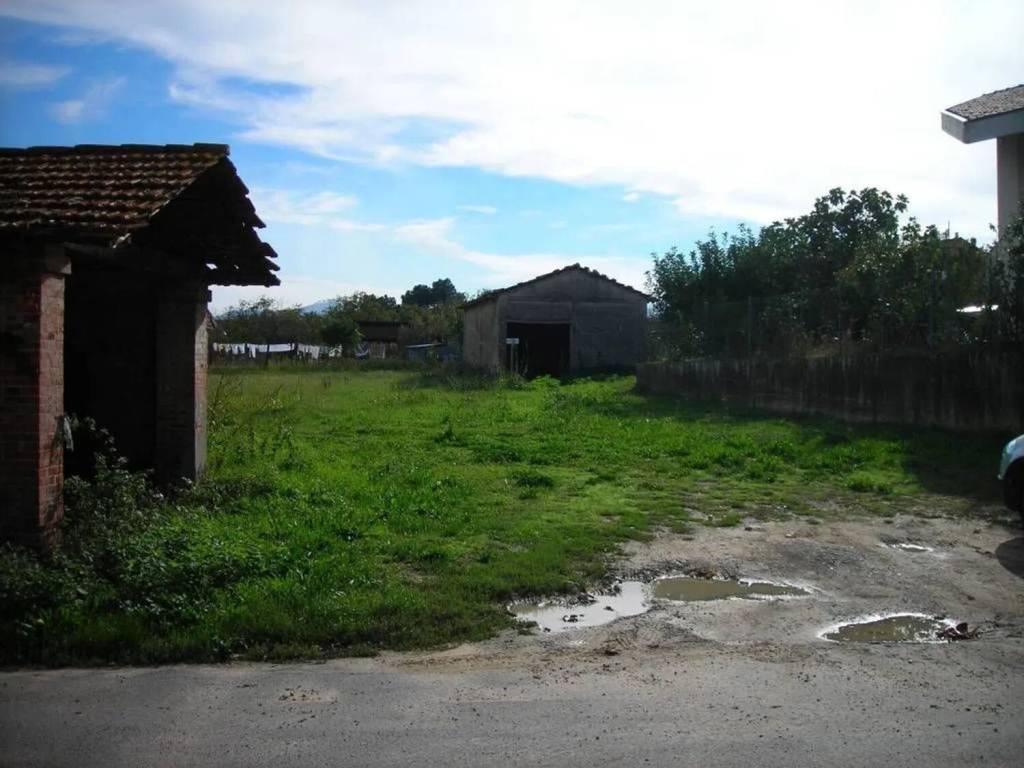immagine annuncio 2 di 3