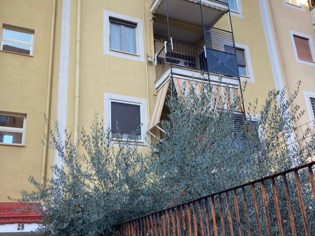 appartamento in vendita a Bari in zona San Paolo