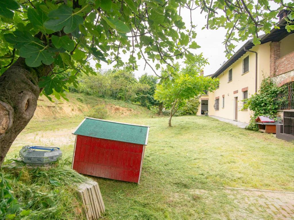 immagine annuncio 3 di 5