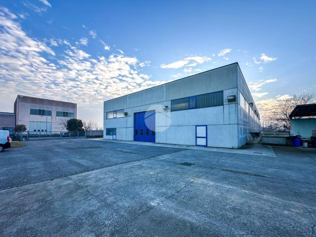 immagine annuncio 4 di 5