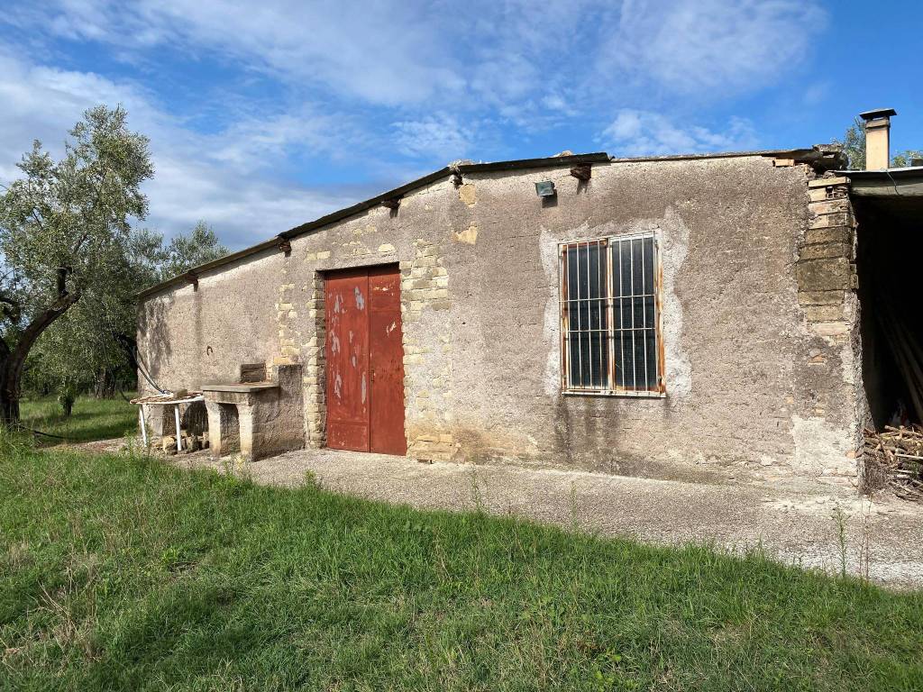 immagine annuncio 3 di 5