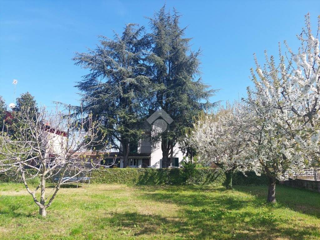 immagine annuncio 2 di 3