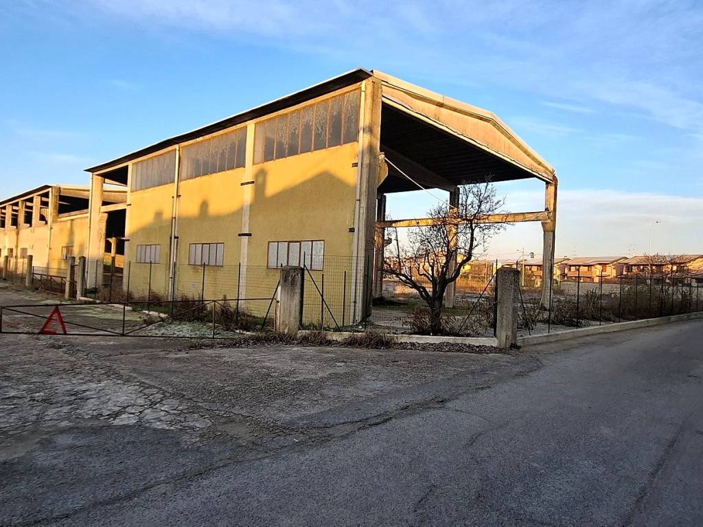 immagine annuncio 3 di 5