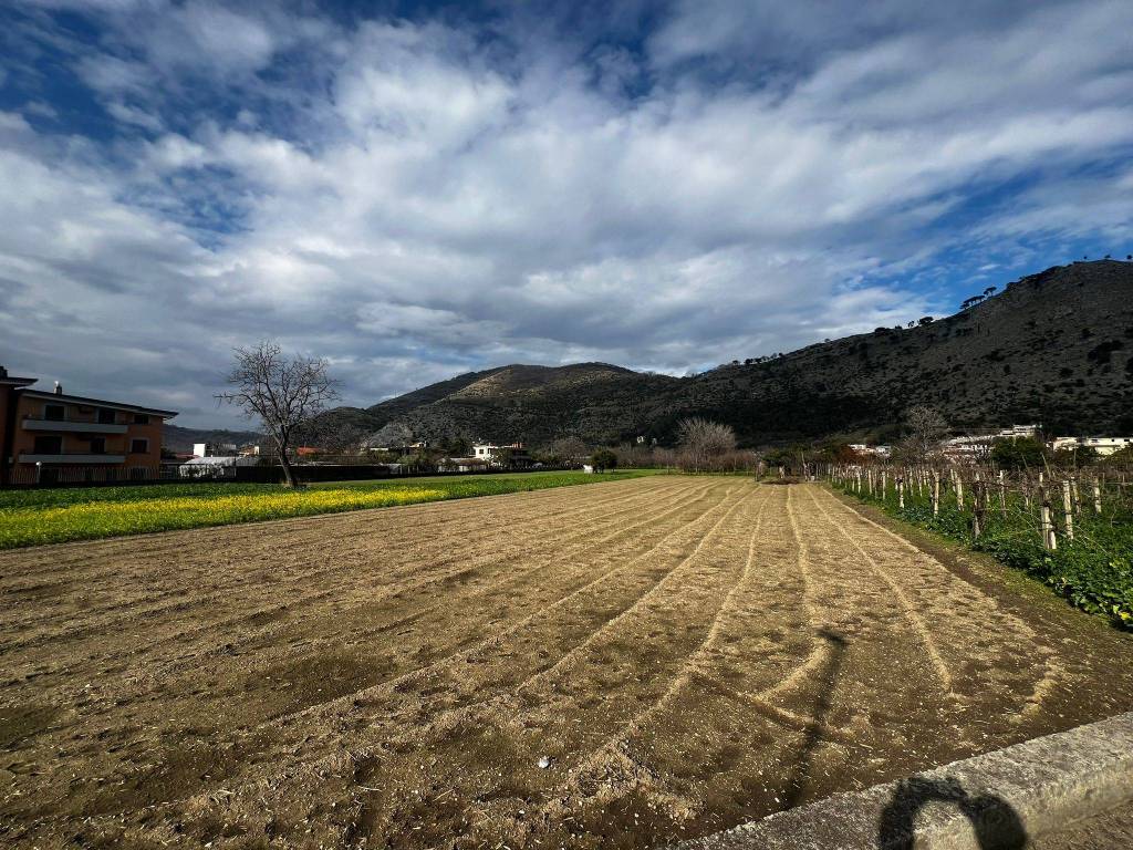 immagine annuncio 2 di 3