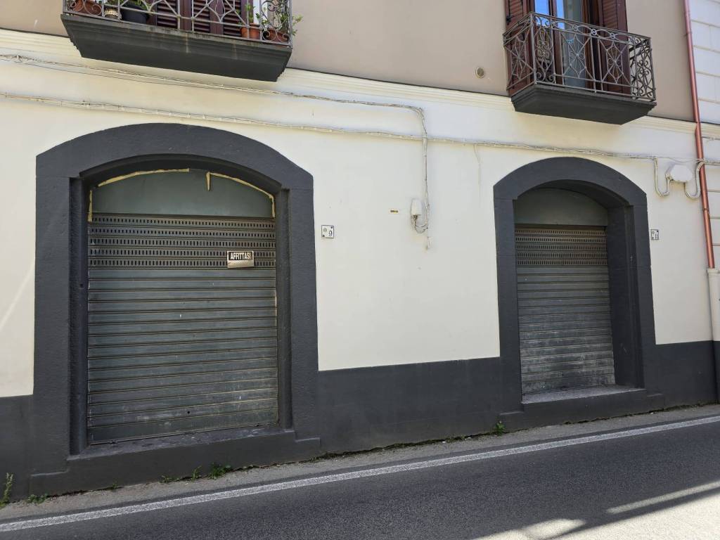 immagine annuncio 1 di 2