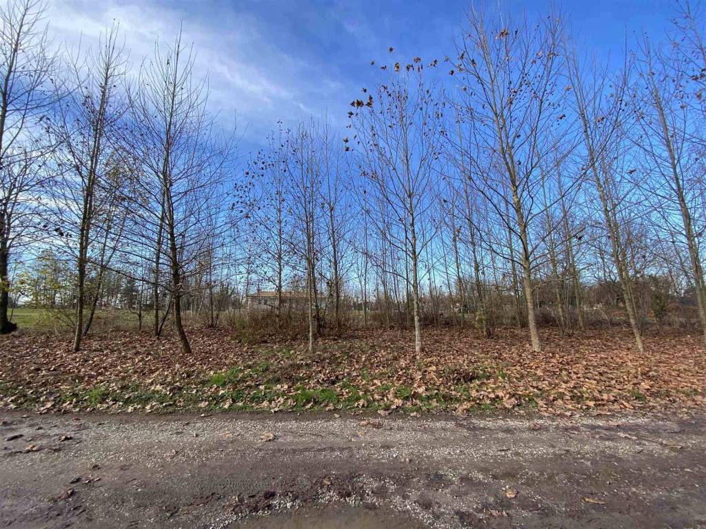 immagine annuncio 1 di 3