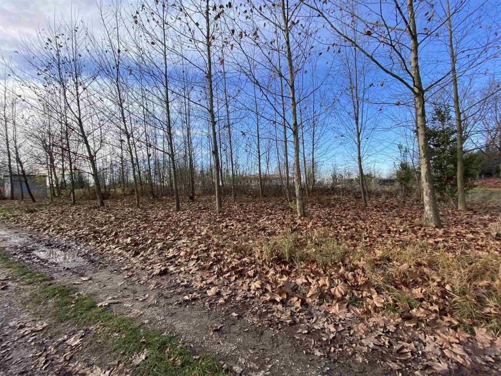 immagine annuncio 2 di 3