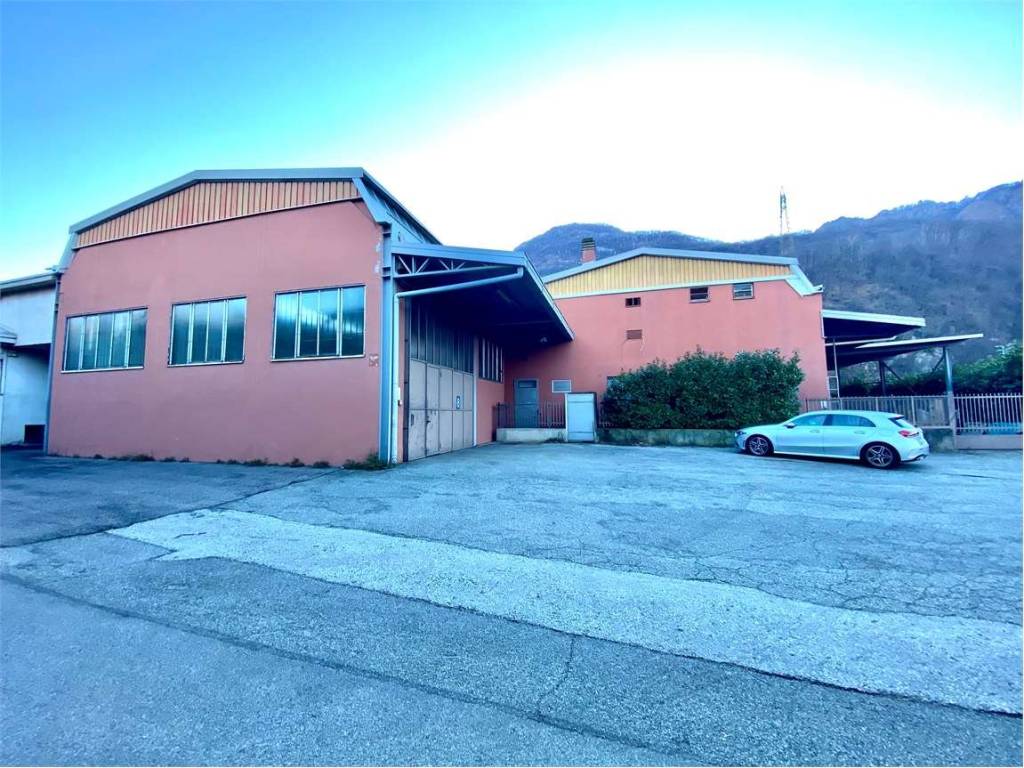 immagine annuncio 2 di 5