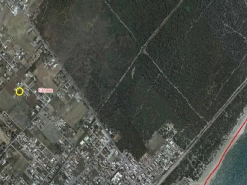 immagine annuncio 1 di 2