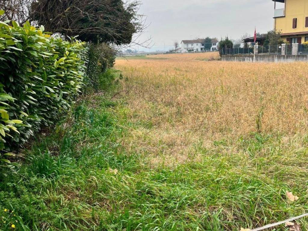 immagine annuncio 1 di 3