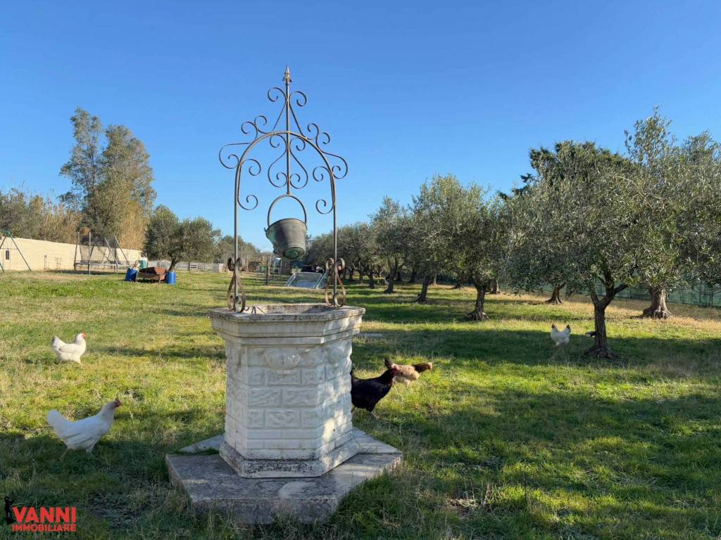 immagine annuncio 1 di 3