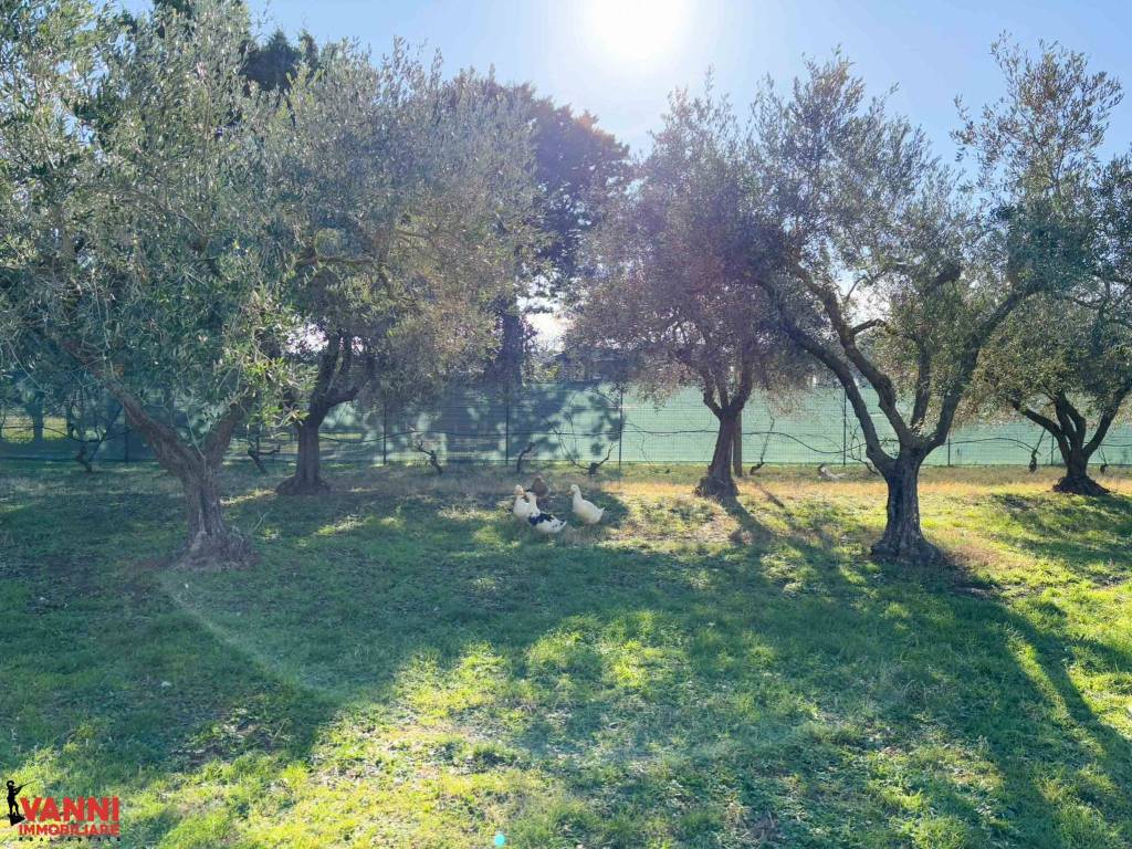 immagine annuncio 2 di 3
