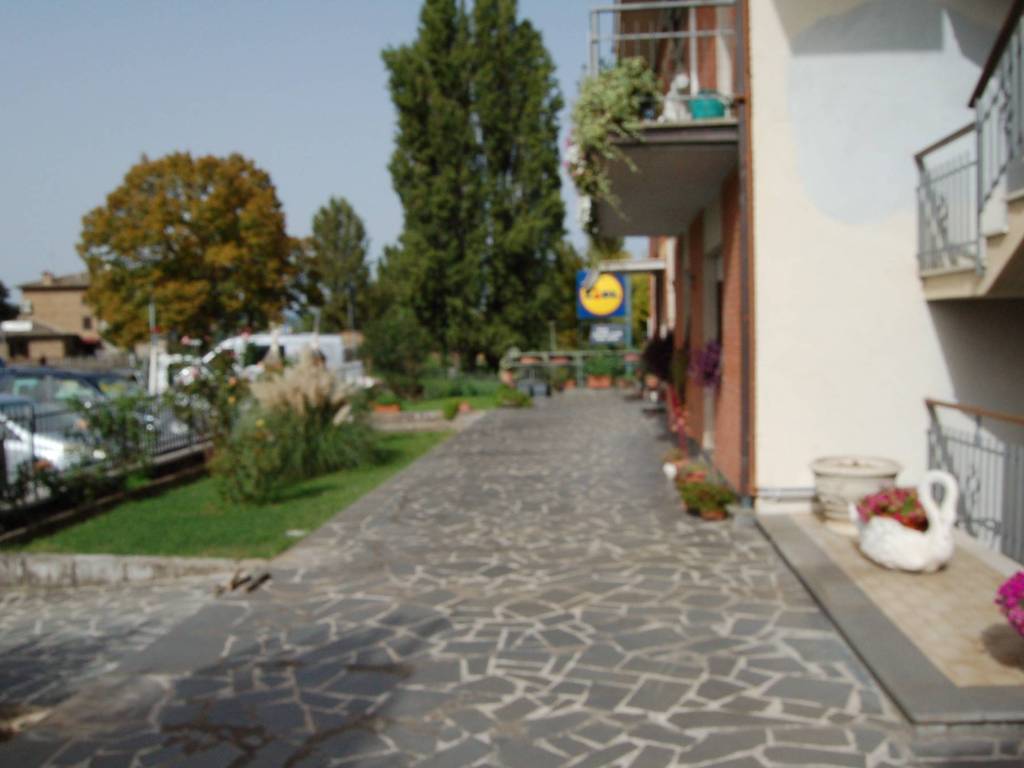 immagine annuncio 1 di 3