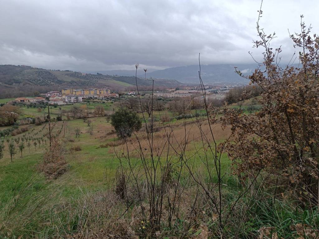 immagine annuncio 1 di 4