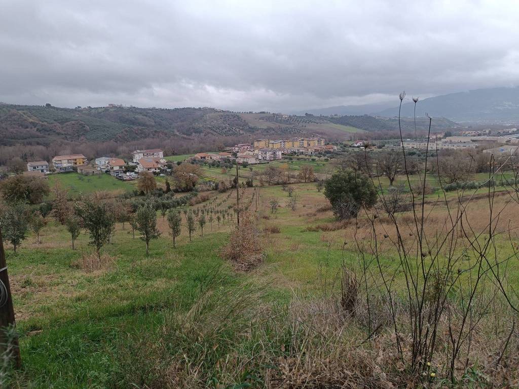 immagine annuncio 2 di 4