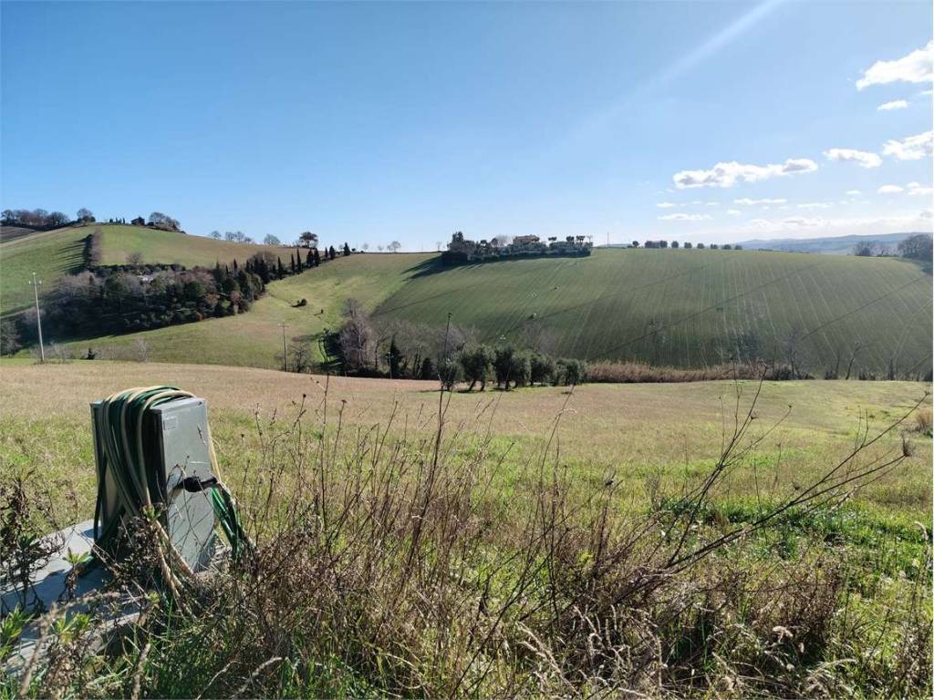immagine annuncio 3 di 4