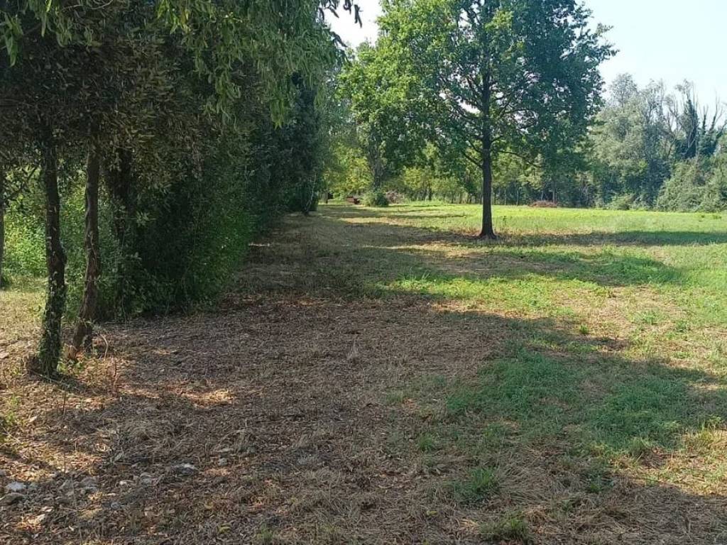 immagine annuncio 1 di 3