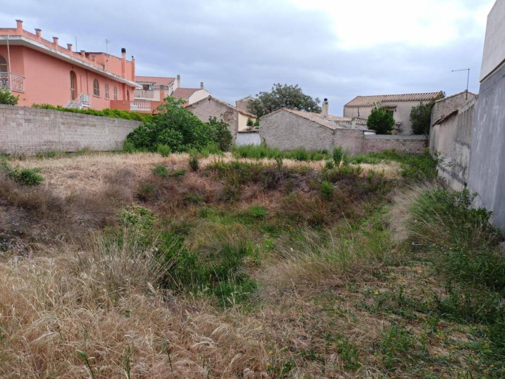 immagine annuncio 2 di 4