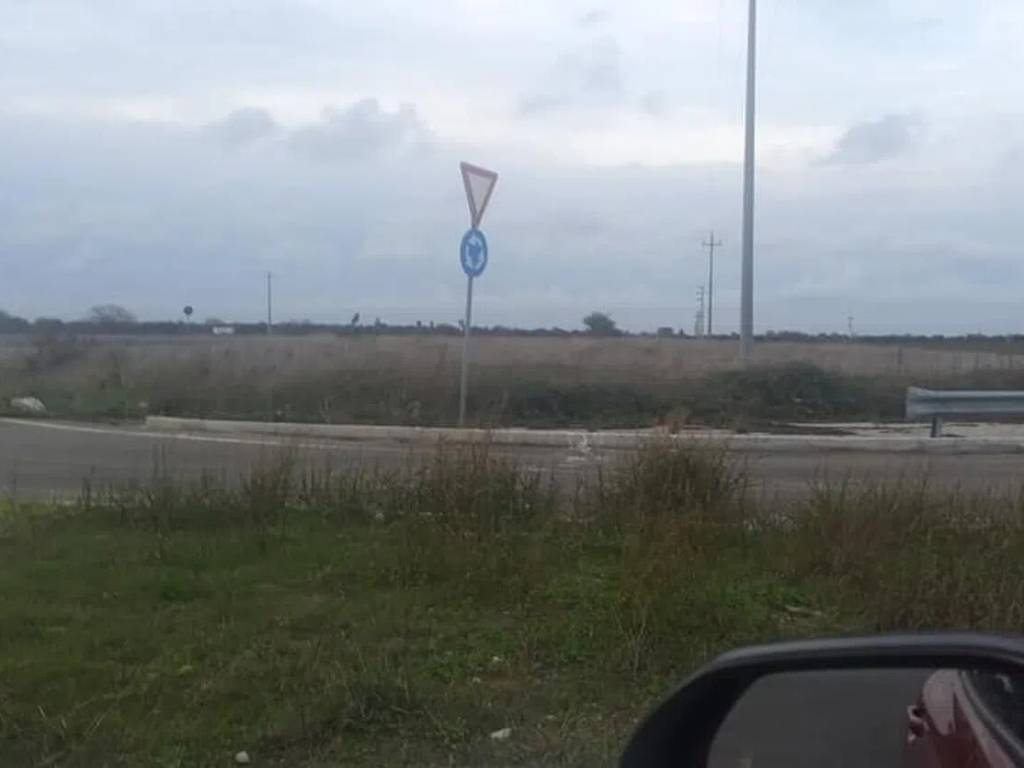 immagine annuncio 2 di 4