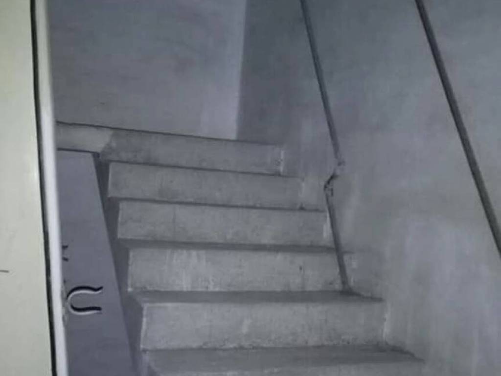 immagine annuncio 2 di 3