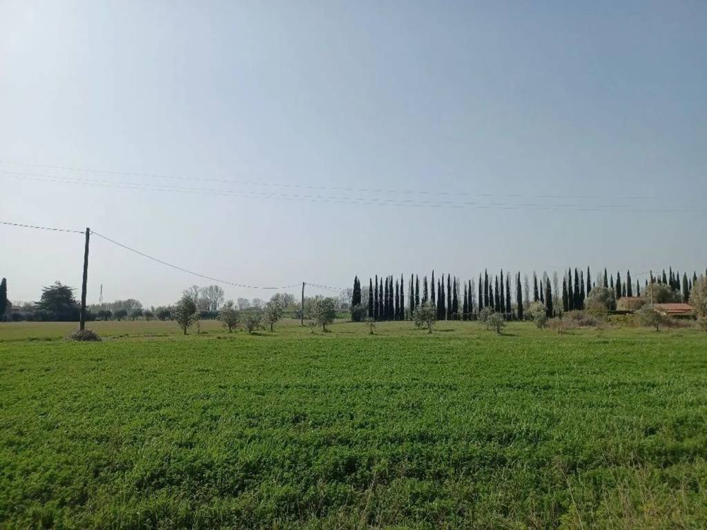 immagine annuncio 2 di 3