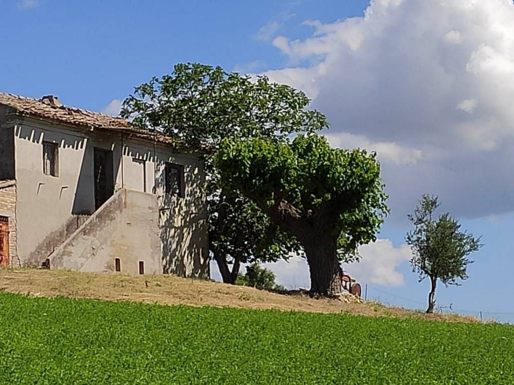 immagine annuncio 1 di 3