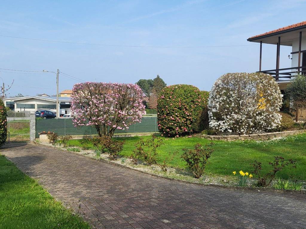 immagine annuncio 4 di 5