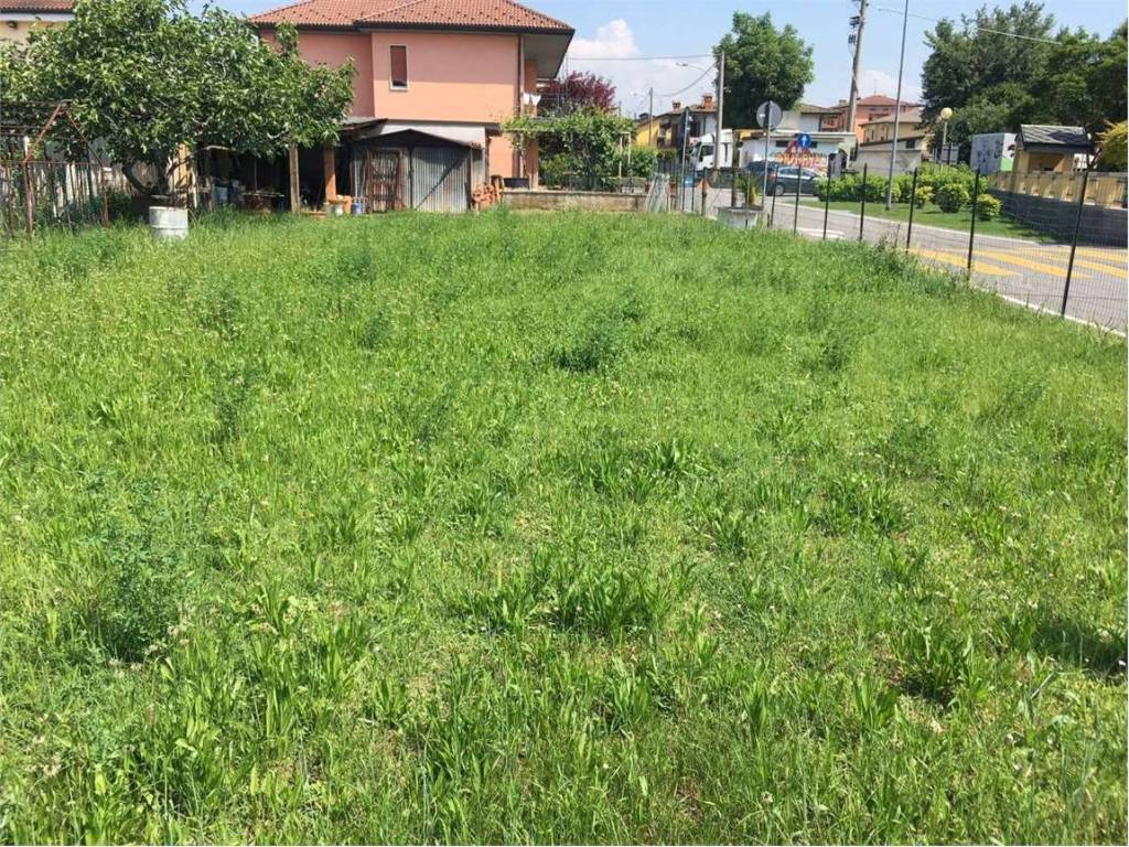 immagine annuncio 2 di 3