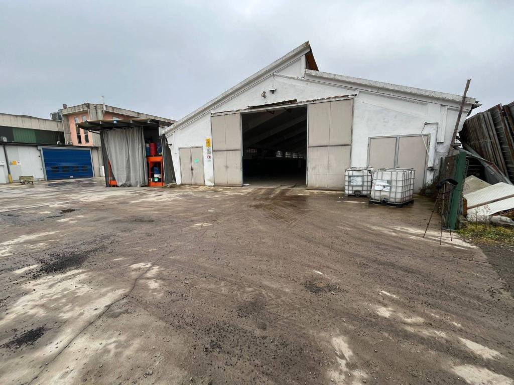 immagine annuncio 3 di 5