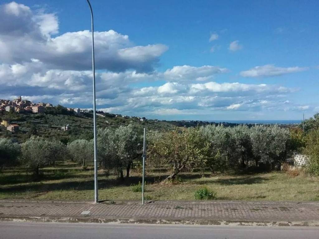 immagine annuncio 2 di 3