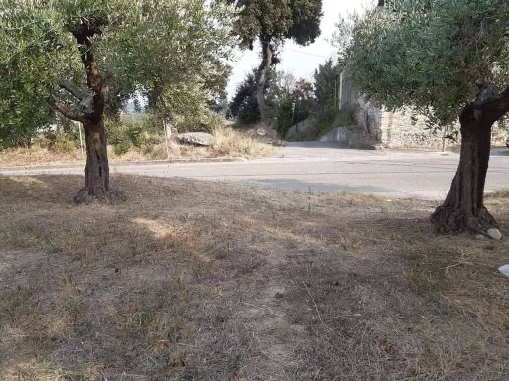 immagine annuncio 1 di 4