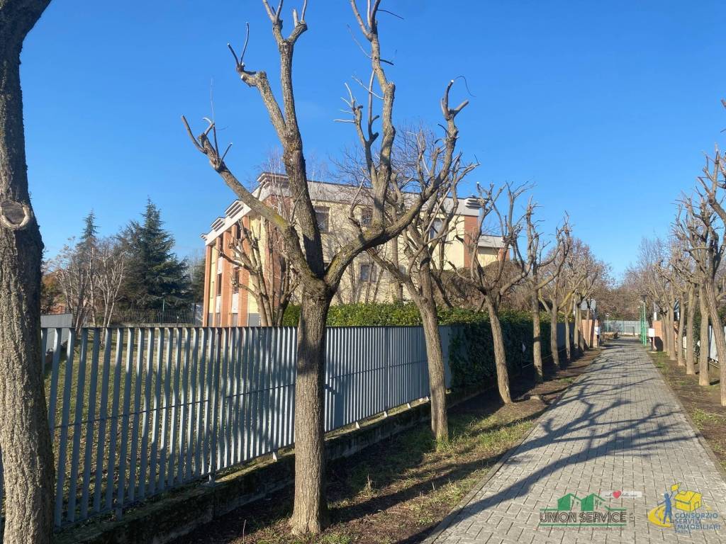 immagine annuncio 1 di 4