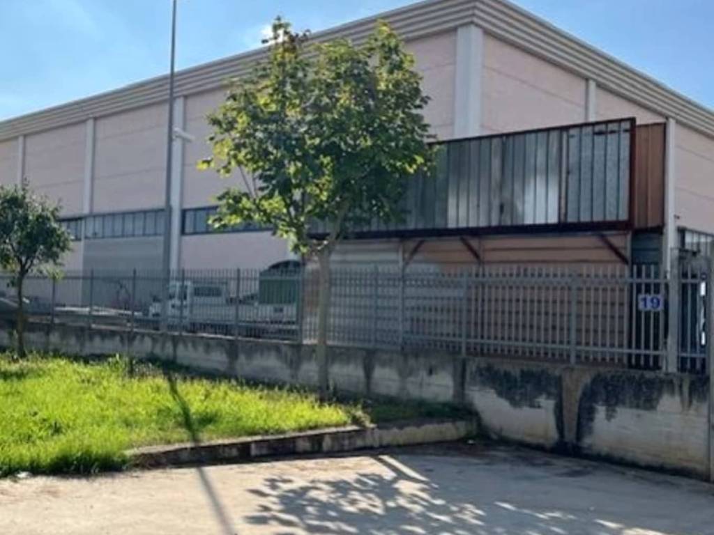 immagine annuncio 1 di 5