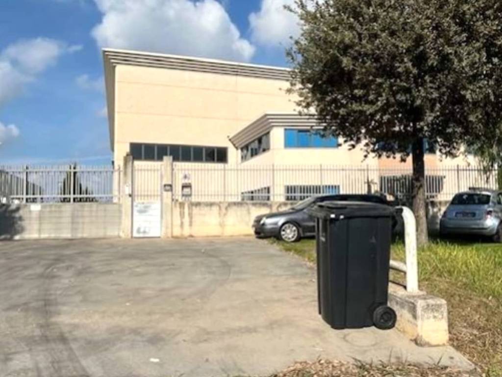 immagine annuncio 2 di 5