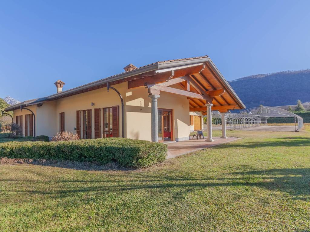 immagine annuncio 1 di 5