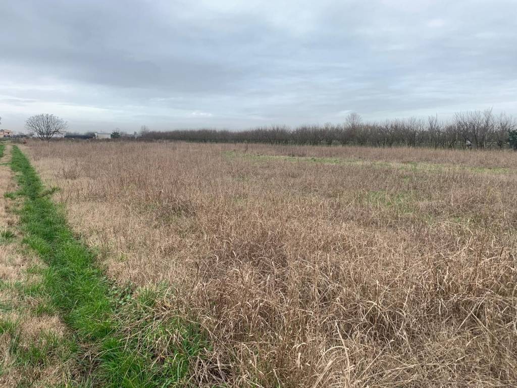 immagine annuncio 1 di 4