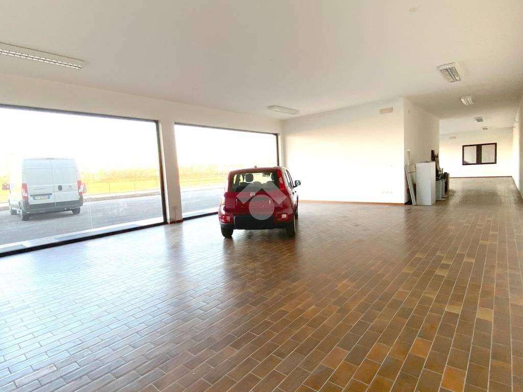 immagine annuncio 1 di 2