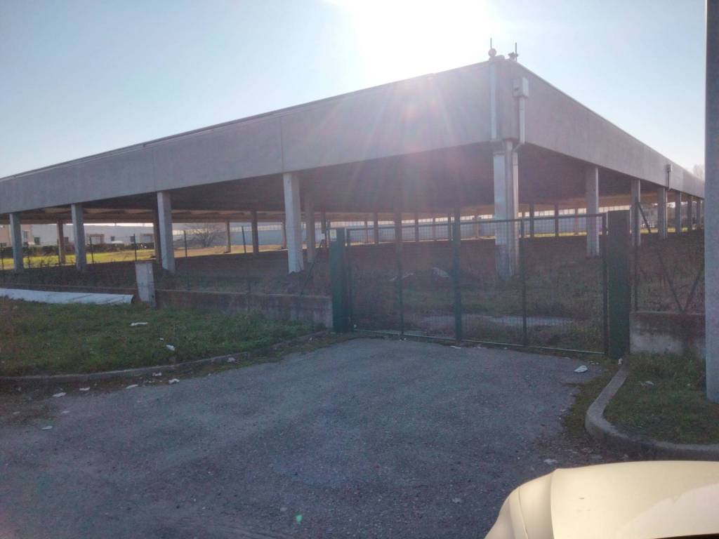 immagine annuncio 1 di 2
