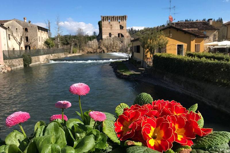 immagine annuncio 1 di 5
