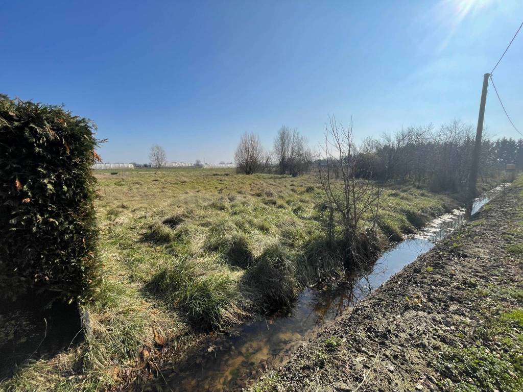 immagine annuncio 2 di 3