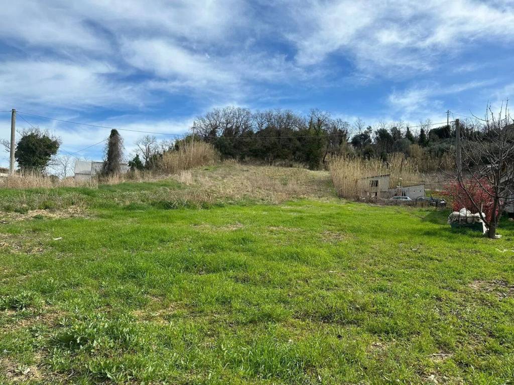 immagine annuncio 1 di 2