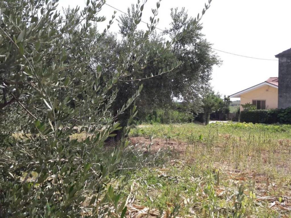 immagine annuncio 1 di 2