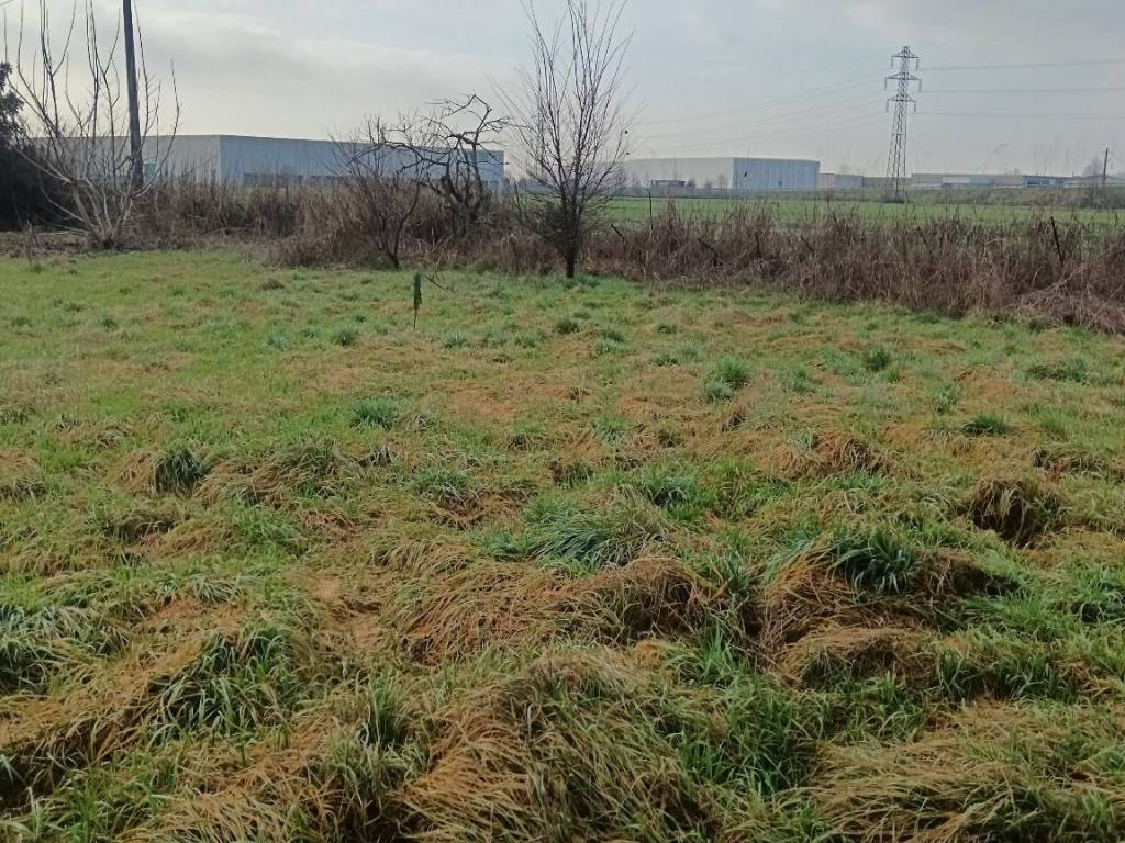 immagine annuncio 1 di 4