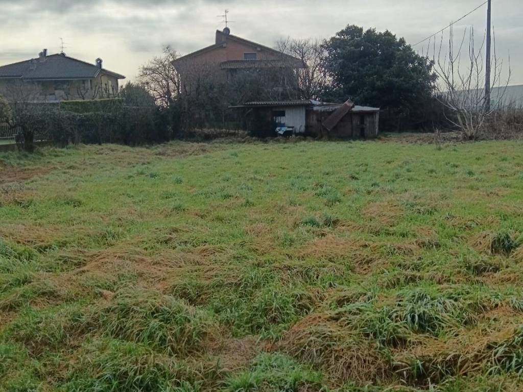 immagine annuncio 2 di 4