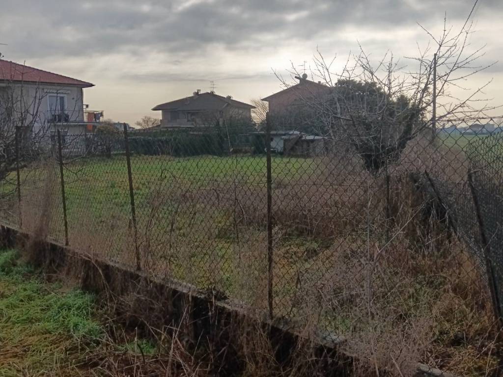 immagine annuncio 3 di 4