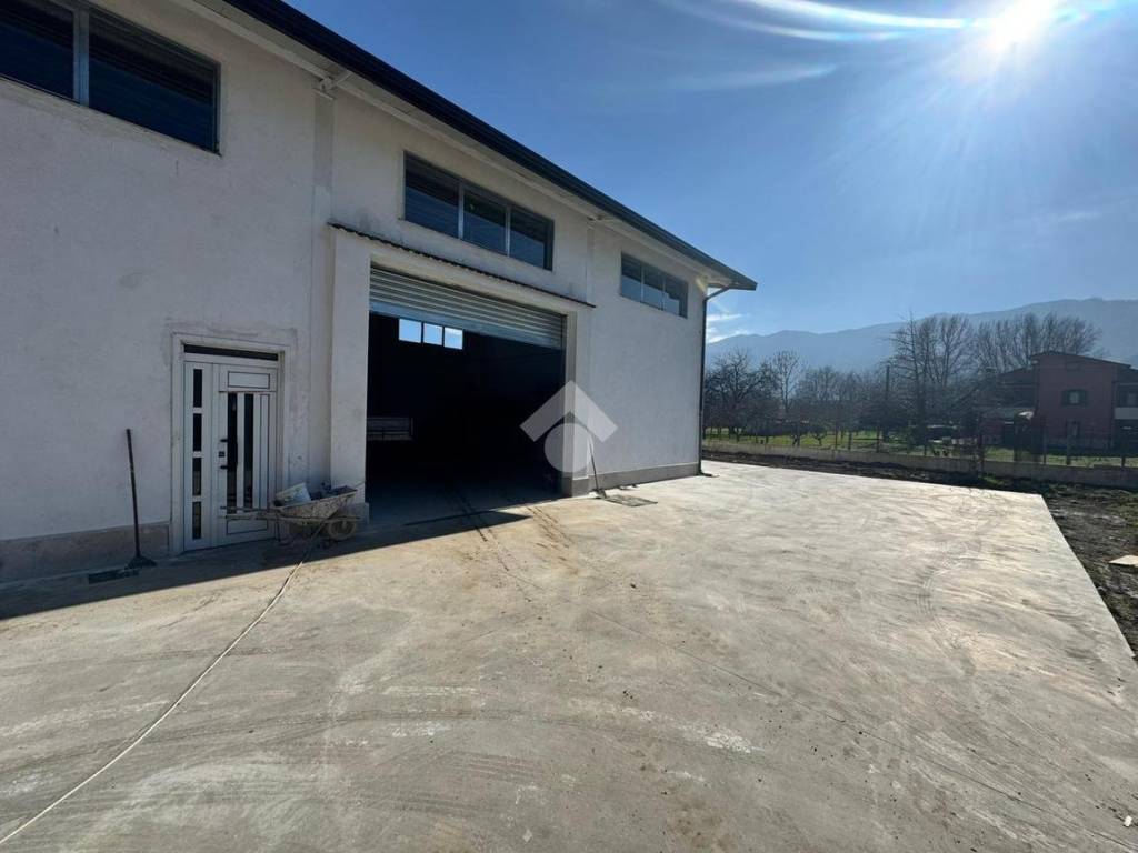 immagine annuncio 3 di 5